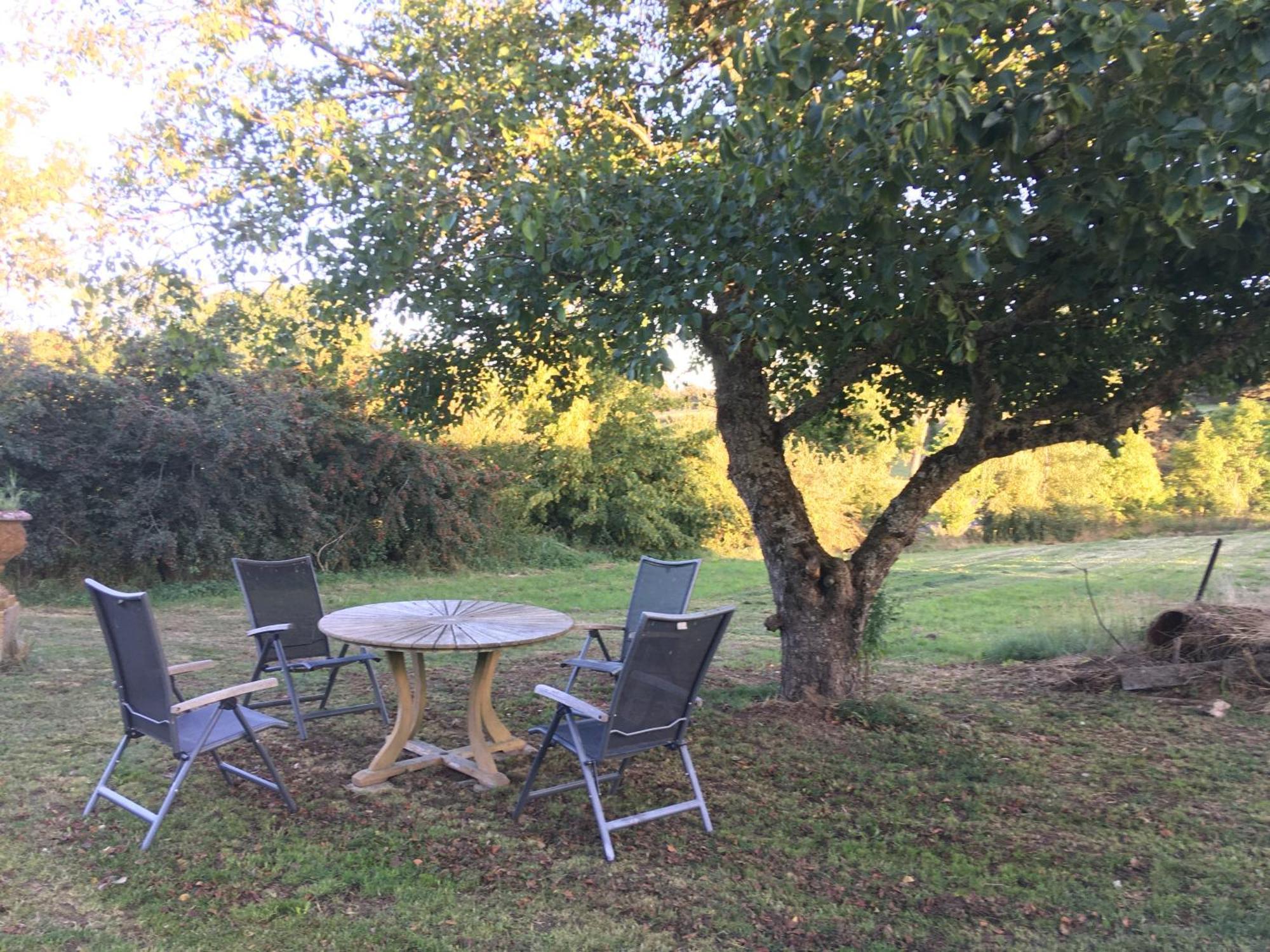 Le Bos Clard Hébergement de vacances Félines