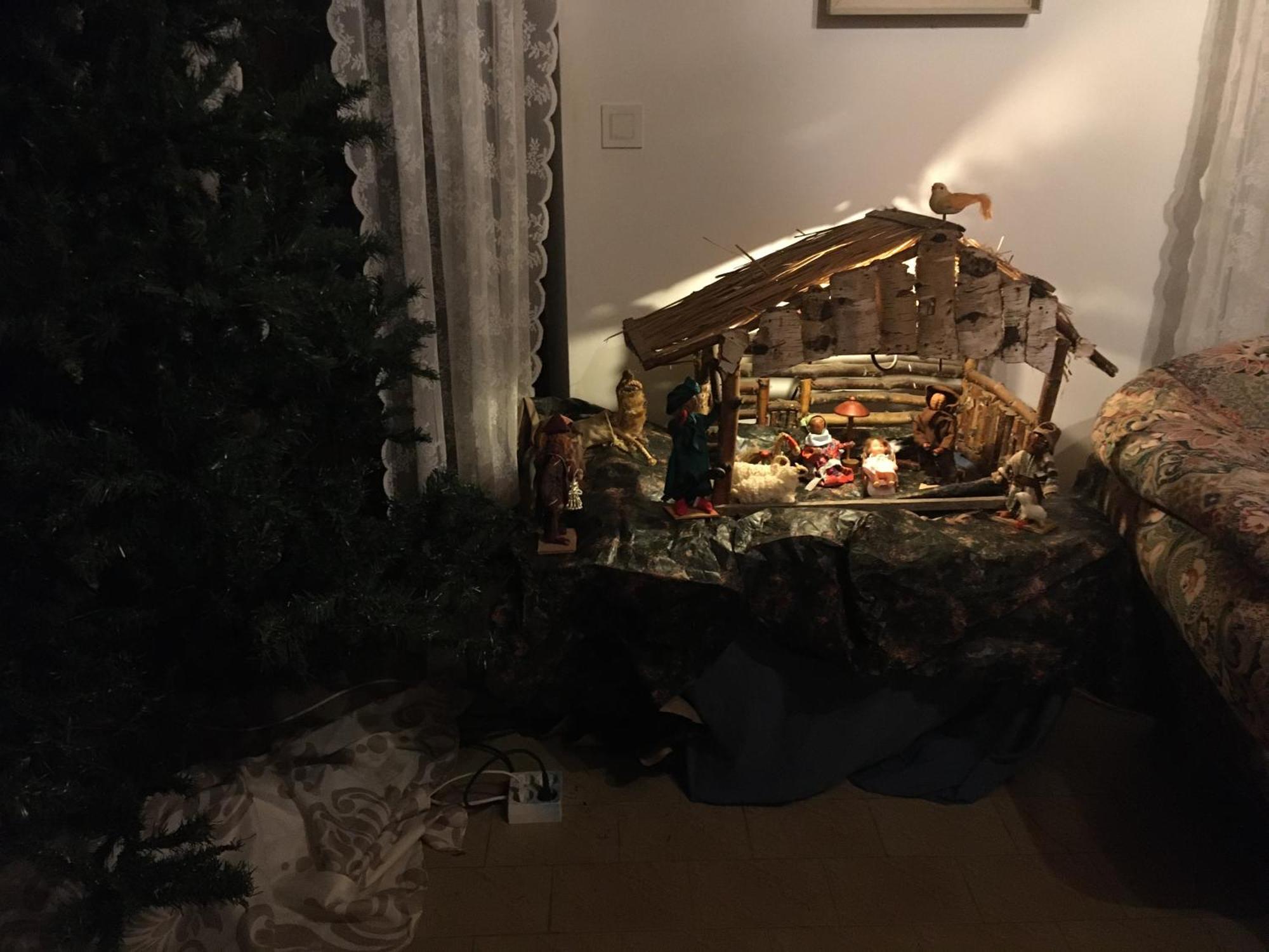 Le Bos Clard Félines