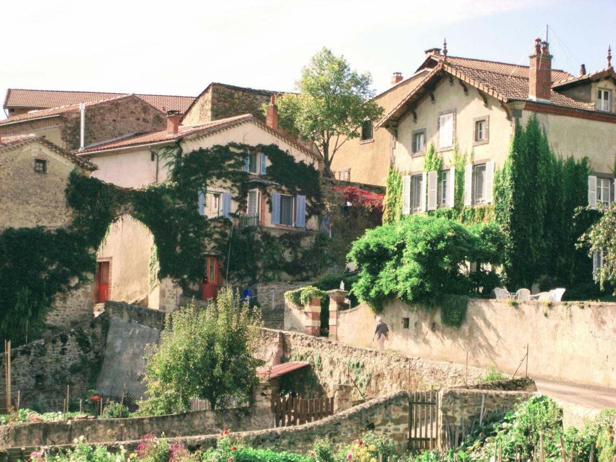 Le Bos Clard Félines